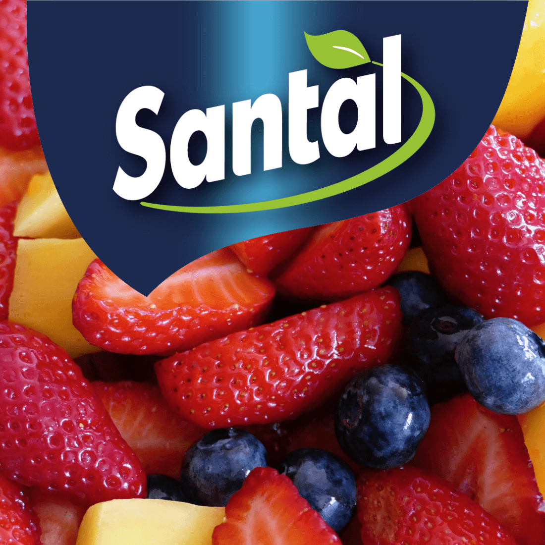 Santal-Fruit-Juice